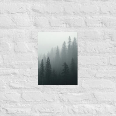 niebla en bosque 2