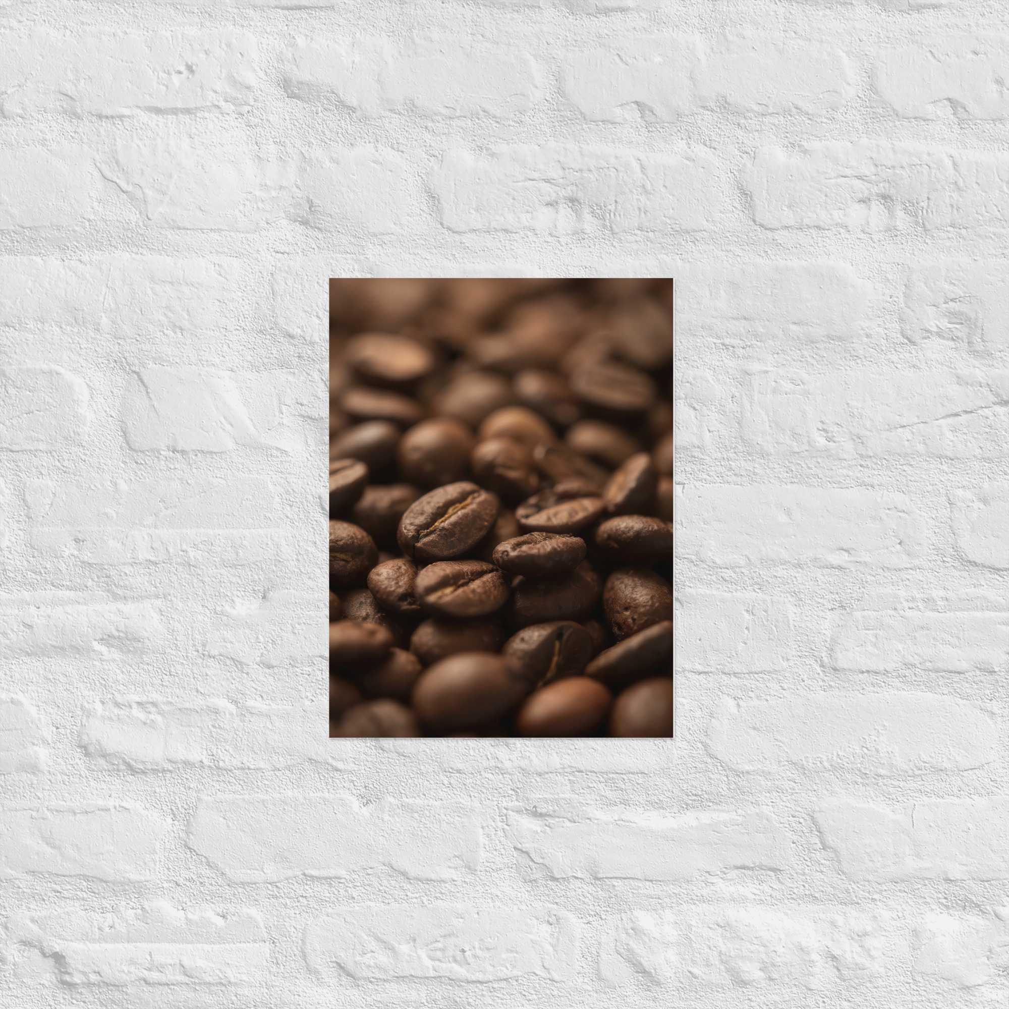 Café en grano - Imagen 5