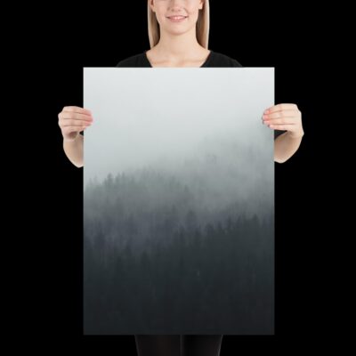niebla en bosque