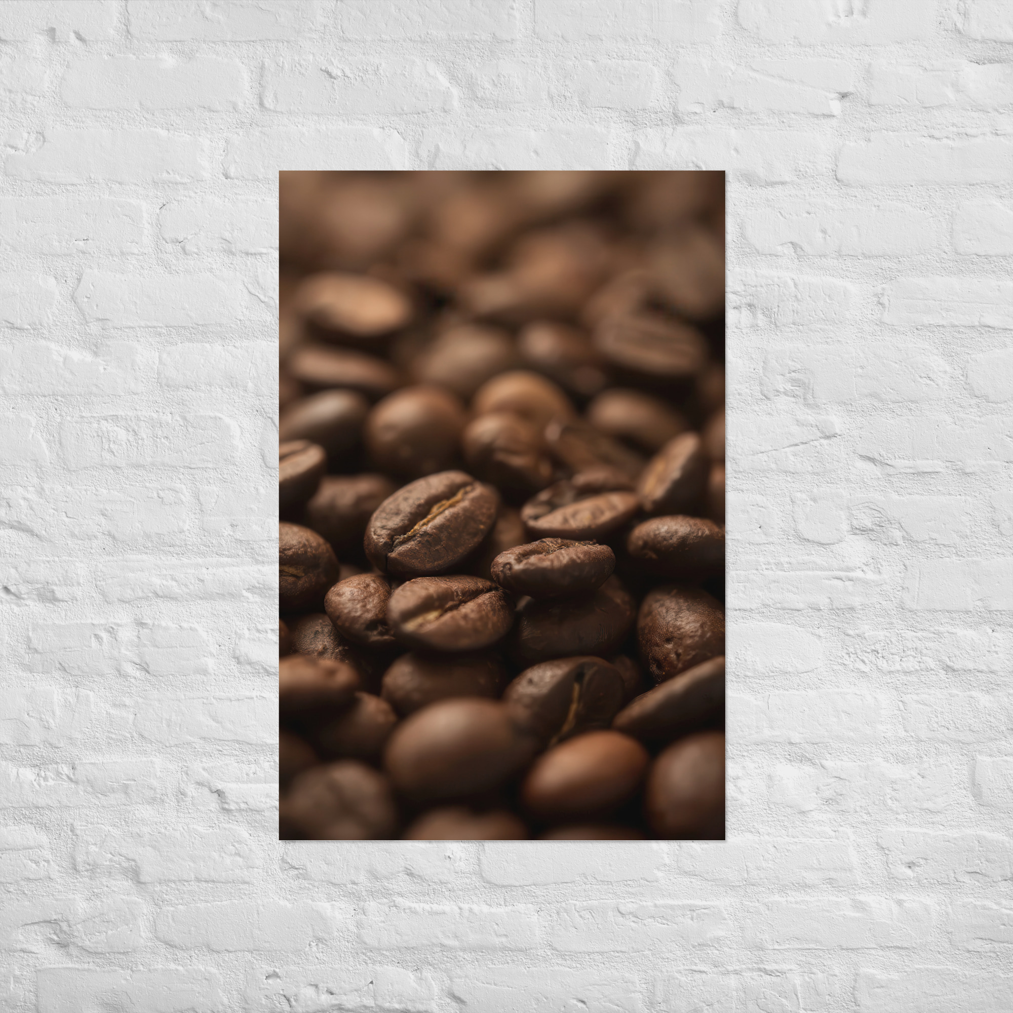 Café en grano - Imagen 7