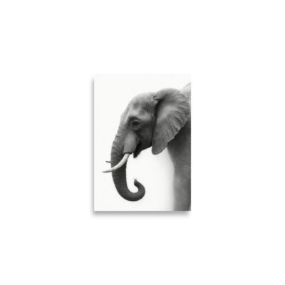 Elefante