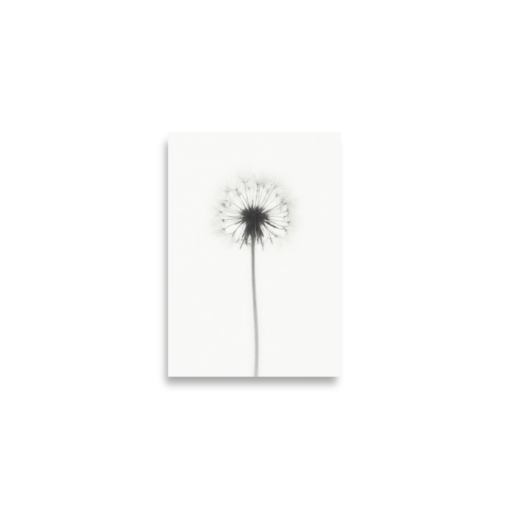 Diente de león 2 - Imagen 3